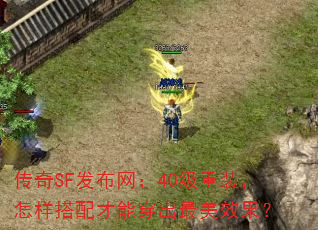 SF40װܴЧ