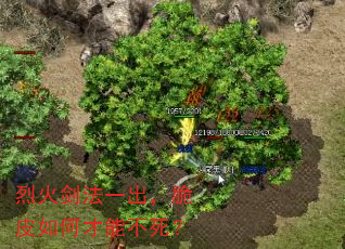 һ𽣷һƤβܲ