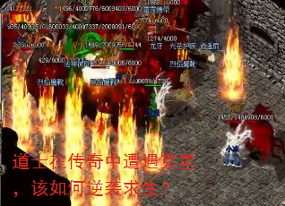 ʿڴǣϮ