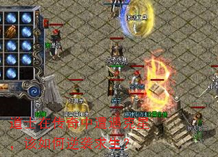 ʿڴǣϮ
