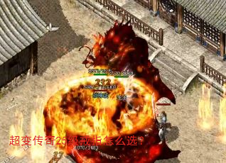 䴫25ָôѡ