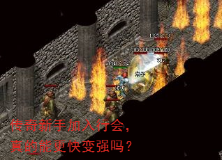 ּлᣬܸǿ
