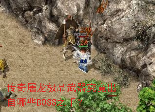 ƷЩBOSS֣֮