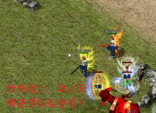 ʿ޵лӸǿ