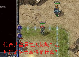 ͷ컨壿ûʲô