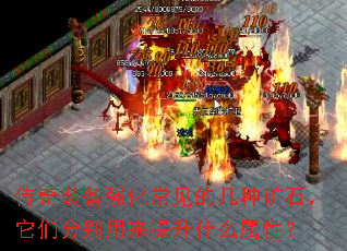 װǿļֿʯǷֱʲôԣ