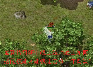 ´SFսʿʦʿδ似ܲܿٻɱǧ
