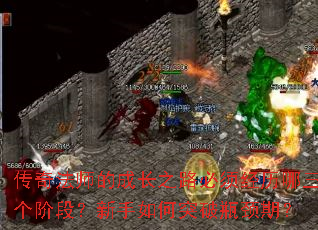 淨ʦĳɳ֮·뾭׶Σͻƿڣ