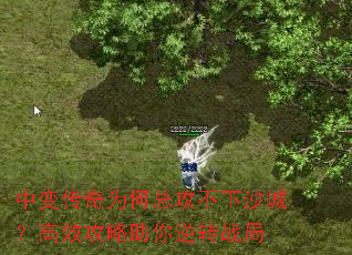 б䴫ΪܹɳǣЧתս