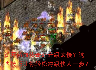 ¿ѪSF̫Щɳ弶һ