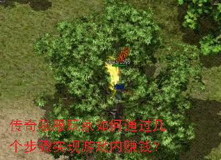 ˽ͨʵϷ׬Ǯ