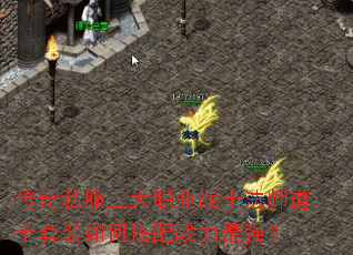 ˽ְҵսʿʦʿװδսǿ