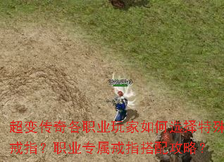 䴫ְҵѡְָҵרָ乥ԣ