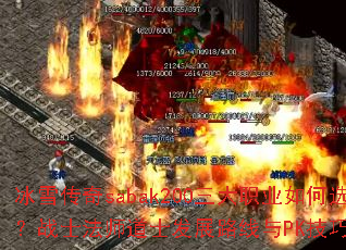 ѩsabak200ְҵѡսʿʦʿչ·PKɽ
