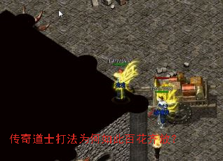 ʿΪ˰ٻţ