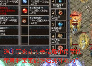 道士玩家在传奇私服中最爱携带哪种宝宝能快速提升战力? 道士玩家在传奇私服中最爱携带哪种宝宝能快速提升战力?