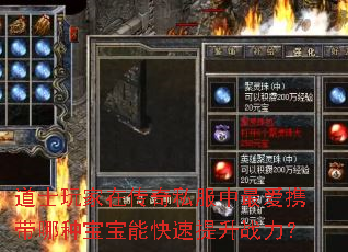 道士玩家在传奇私服中最爱携带哪种宝宝能快速提升战力? 道士玩家在传奇私服中最爱携带哪种宝宝能快速提升战力?