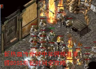 ѪSFξ׼BOSSˢʱȫ
