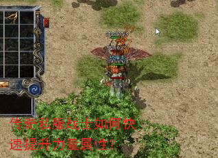˽սʿοԣ