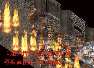 ʧֳСʹȫָϡ