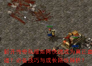 新开传奇私服如何快速成为真正血道?必备技巧与成长路线解析? 新开传奇私服如何快速成为真正血道?必备技巧与成长路线解析?