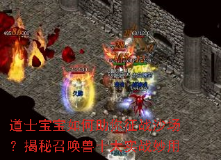 道士宝宝如何助你征战沙场?揭秘召唤兽十大实战妙用 道士宝宝如何助你征战沙场?揭秘召唤兽十大实战妙用