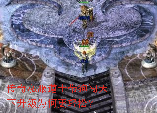 传奇私服道士带狗闯天下升级为何更轻松? 传奇私服道士带狗闯天下升级为何更轻松?