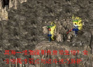 冥海一楼潜藏哪些危险生物?全怪物属性弱点与战斗技巧解析 冥海一楼潜藏哪些危险生物?全怪物属性弱点与战斗技巧解析