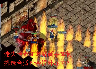 ʧSFվѡʰս