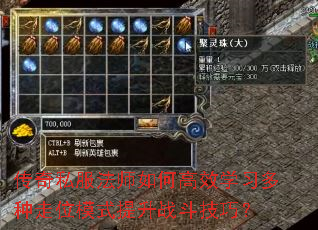 ˽ʦθЧѧϰλģʽսɣ