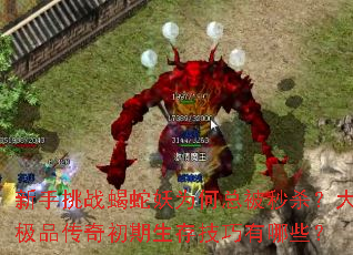 新手挑战蝎蛇妖为何总被秒杀?大极品传奇初期生存技巧有哪些? 新手挑战蝎蛇妖为何总被秒杀?大极品传奇初期生存技巧有哪些?