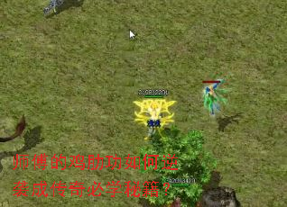 师傅的鸡肋功如何逆袭成传奇必学秘籍? 师傅的鸡肋功如何逆袭成传奇必学秘籍?