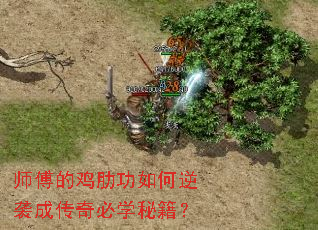 师傅的鸡肋功如何逆袭成传奇必学秘籍? 师傅的鸡肋功如何逆袭成传奇必学秘籍?