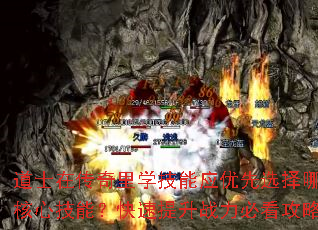 ʿڴѧӦѡЩļܣսؿԣ