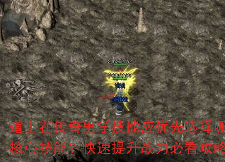 ʿڴѧӦѡЩļܣսؿԣ