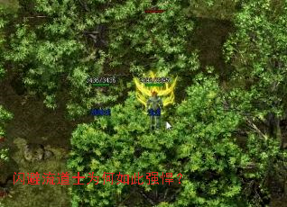 闪避流道士为何如此强悍? 闪避流道士为何如此强悍?