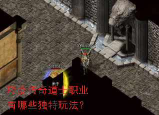 轻变传奇道士职业有哪些独特玩法? 轻变传奇道士职业有哪些独特玩法?