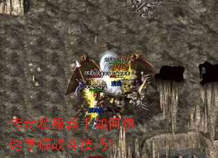 传奇私服新手如何快速掌握战斗技巧? 传奇私服新手如何快速掌握战斗技巧?