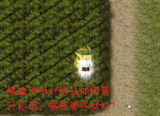 热血传奇sf网站如何晋升称谓?需要哪些材料? 热血传奇sf网站如何晋升称谓?需要哪些材料?