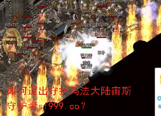 ˳ػ귨½˹ػsf999.co