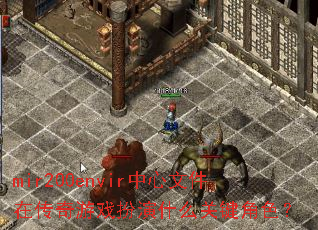 mir200envir中心文件在传奇游戏扮演什么关键角色? mir200envir中心文件在传奇游戏扮演什么关键角色?