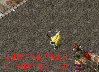 达叔传奇私服攻略大全?新手如何快速提升战力? 达叔传奇私服攻略大全?新手如何快速提升战力?