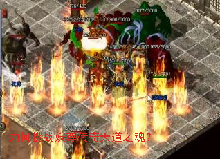 如何挑战妖尊传奇天道之魂? 如何挑战妖尊传奇天道之魂?