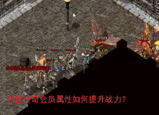 灭世传奇会员属性如何提升战力? 灭世传奇会员属性如何提升战力?