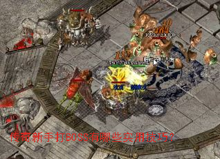 �������ִ�BOSS����Щʵ�ü��ɣ�