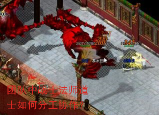 团队中战士法师道士如何分工协作? 团队中战士法师道士如何分工协作?