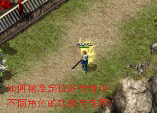 如何精准定位SF传奇中不同角色的功能与作用? 如何精准定位SF传奇中不同角色的功能与作用?