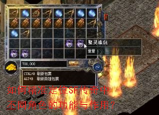 如何精准定位SF传奇中不同角色的功能与作用? 如何精准定位SF传奇中不同角色的功能与作用?