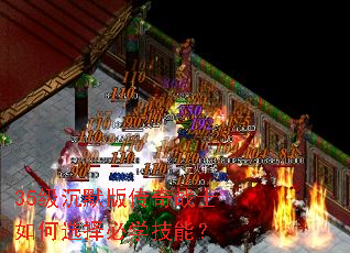 35级沉默版传奇战士如何选择必学技能? 35级沉默版传奇战士如何选择必学技能?