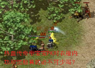 热血传奇带宝宝PK时衣服内功和法鼓真的必不可少吗? 热血传奇带宝宝PK时衣服内功和法鼓真的必不可少吗?